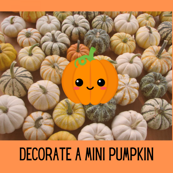 decorate a mini pumpkin
