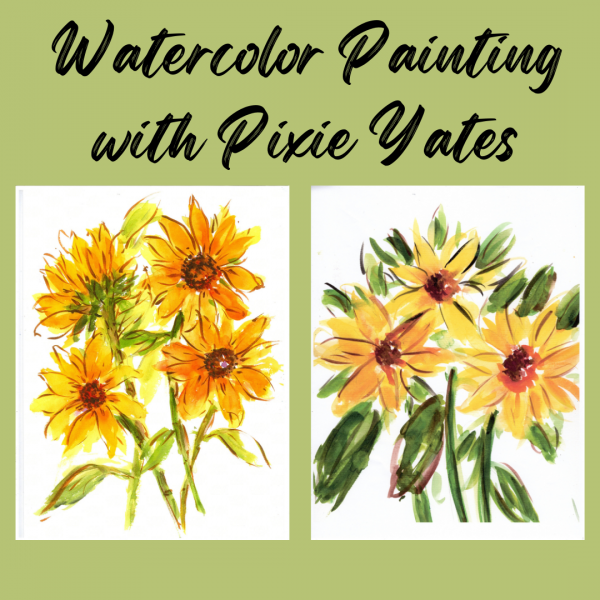 sunflower watercolors