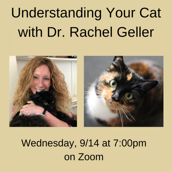 Dr. Geller holding a black cat