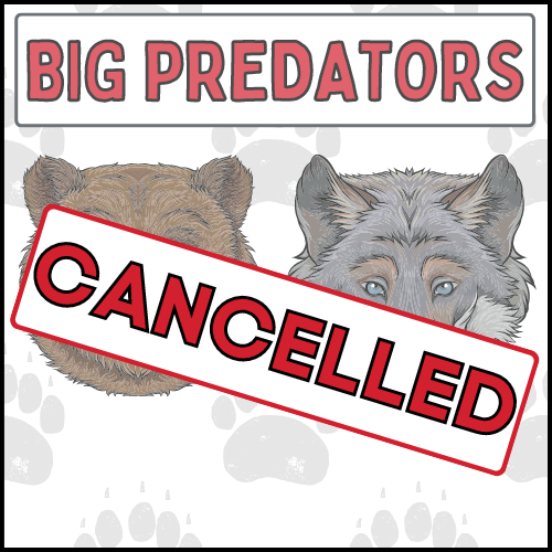 Image for event: Big Predators