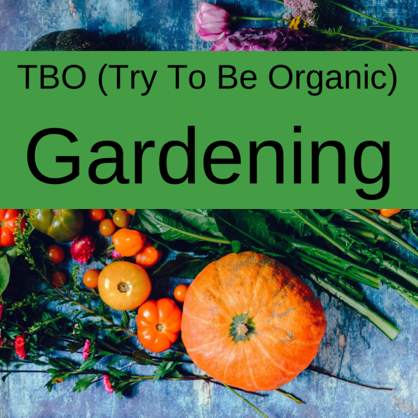 Try to Be Organic Gardening