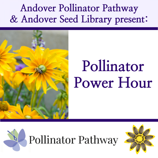Pollinator Power Hour