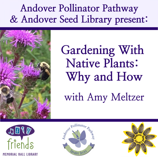 Image for event: Gardening With Native Plants: Why and How on Zoom