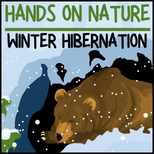 Image for event: Winter Hibernation