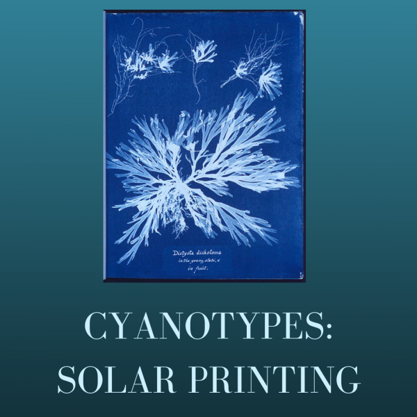 Image for event: Cyanotypes: Solar Printing