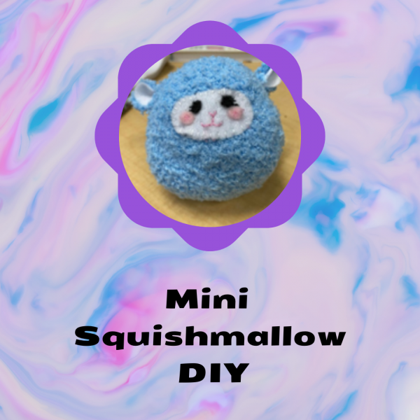 mini squishmallow DIY