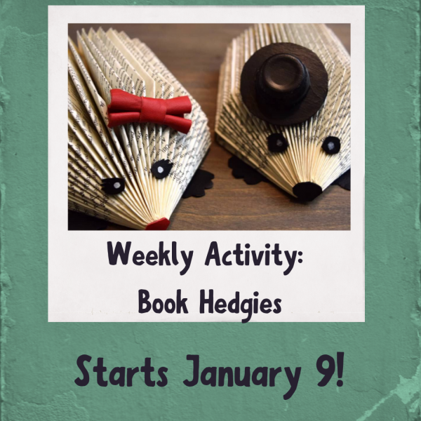 weekly craft book hedgie